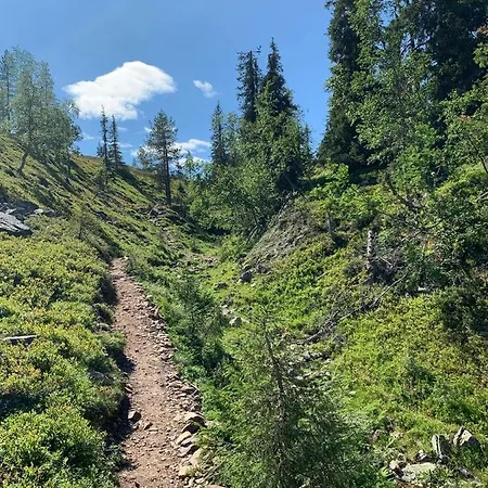 Starflower Of Yllaes * Ylläsjärvi