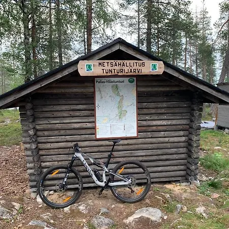 Starflower Of Yllaes Ylläsjärvi