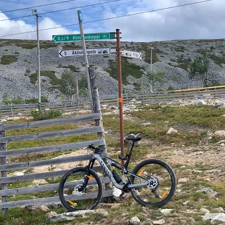 Starflower Of Yllaes *