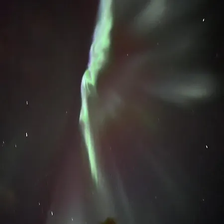 Starflower Of Yllaes