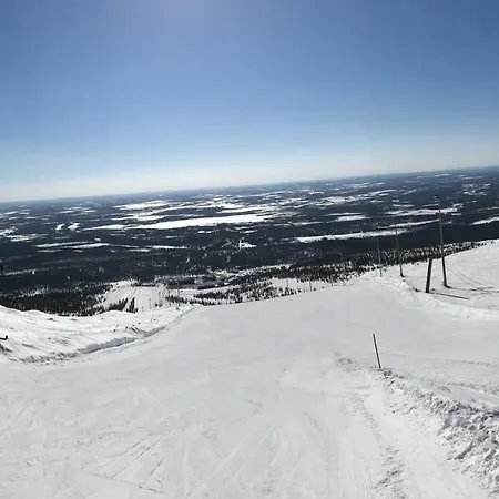 Starflower Of Yllaes