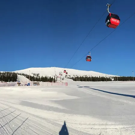 度假居 Starflower Of Yllaes