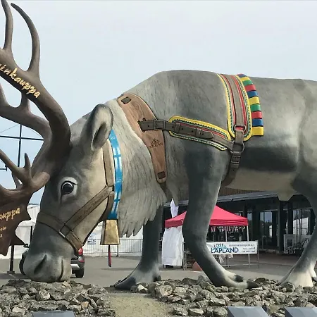 Prázdninový dům Starflower Of Yllaes Ylläsjärvi