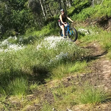 Starflower Of Yllaes