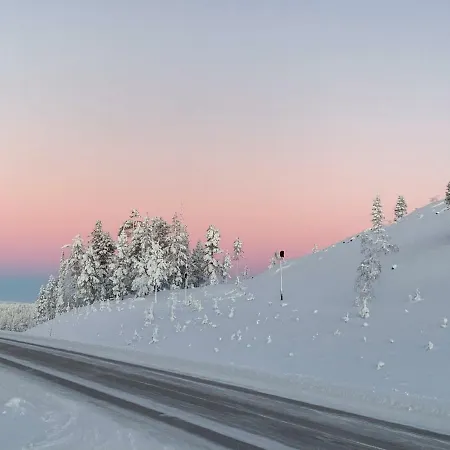 Starflower Of Yllaes