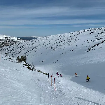 Starflower Of Yllaes Prázdninový dům *