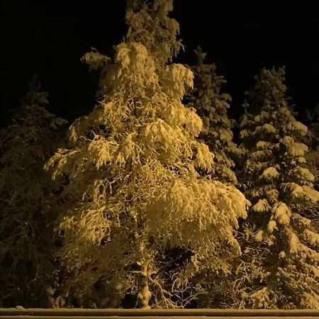 Starflower Of Yllaes