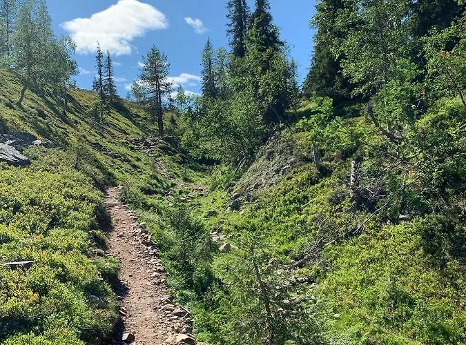 Starflower Of Yllaes * Ylläsjärvi