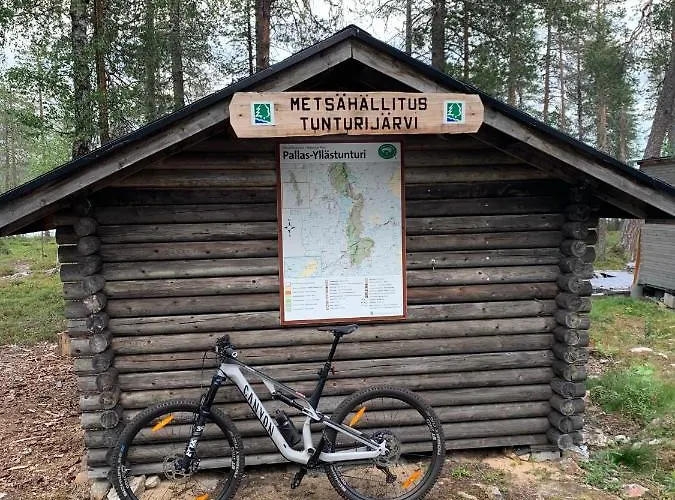 Starflower Of Yllaes Ylläsjärvi