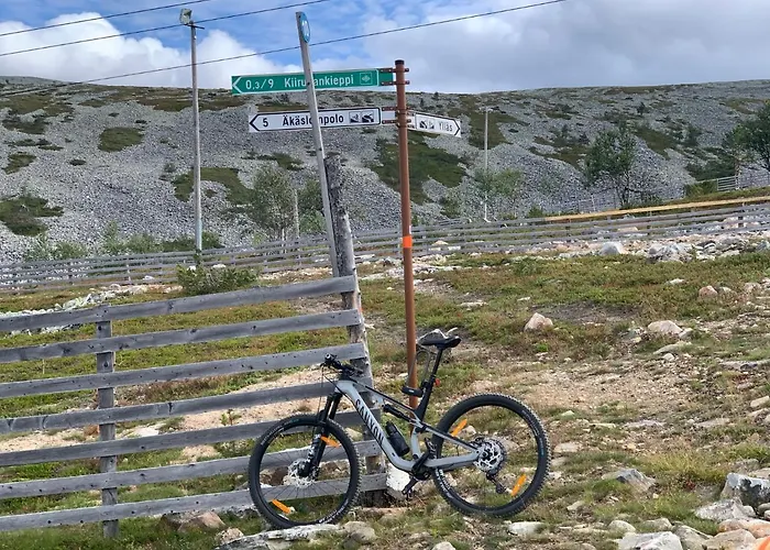 Starflower Of Yllaes *