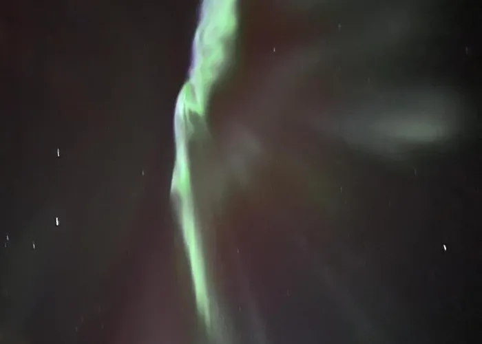 Starflower Of Yllaes