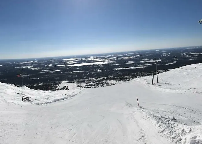 Starflower Of Yllaes