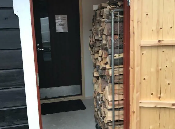 Starflower Of Yllaes Ylläsjärvi