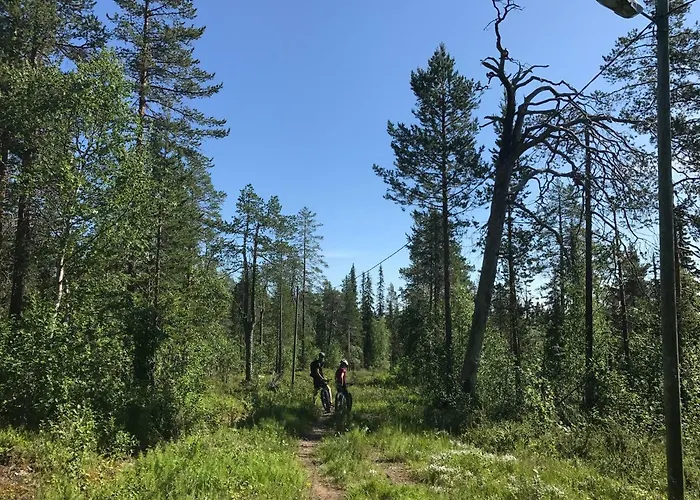 Starflower Of Yllaes