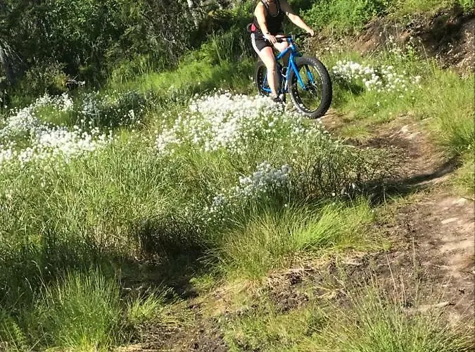 Starflower Of Yllaes