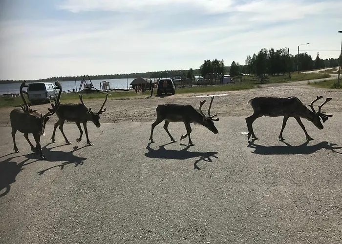 Σπίτι διακοπών Starflower Of Yllaes *