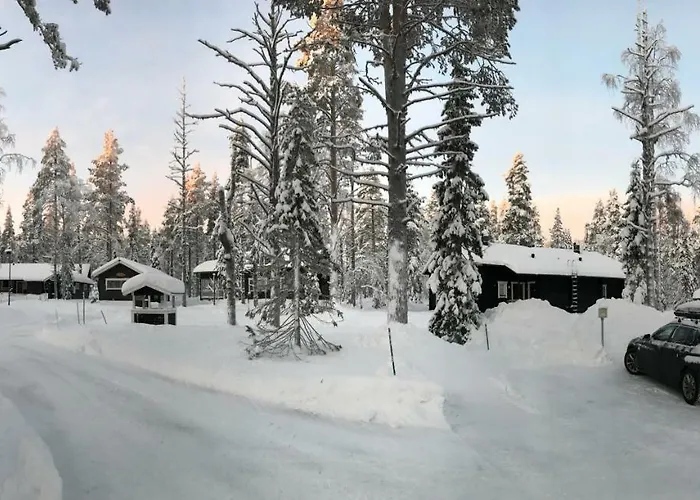Starflower Of Yllaes * Ylläsjärvi