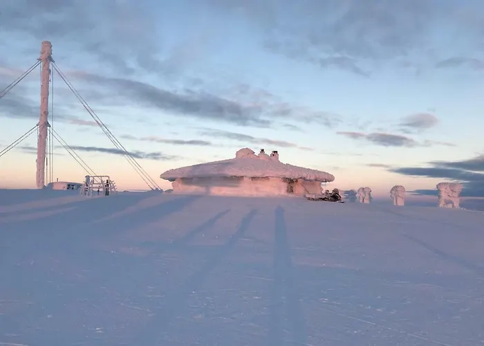 Starflower Of Yllaes Ylläsjärvi