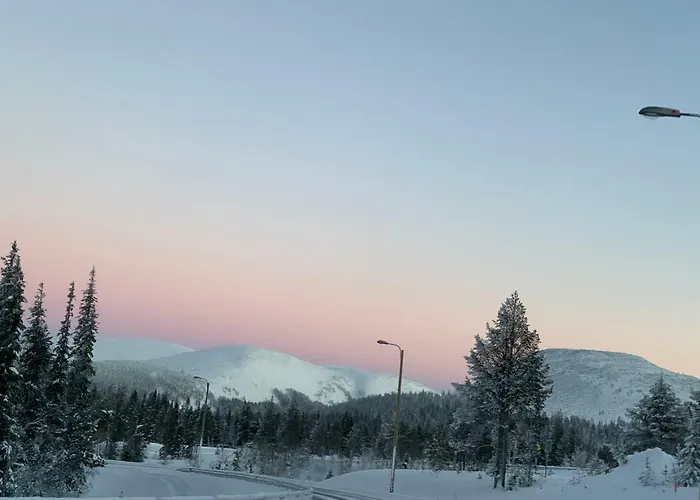 Σπίτι διακοπών Starflower Of Yllaes Ylläsjärvi