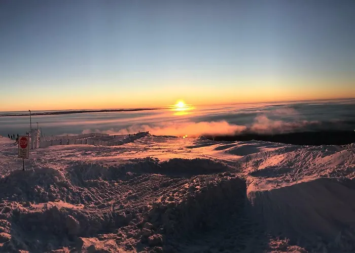 Starflower Of Yllaes Σπίτι διακοπών Ylläsjärvi