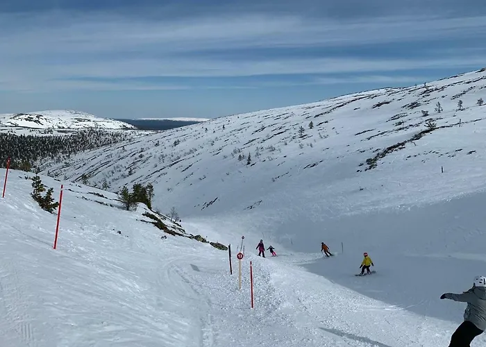 Starflower Of Yllaes Σπίτι διακοπών *