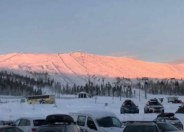 Σπίτι διακοπών Starflower Of Yllaes Ylläsjärvi